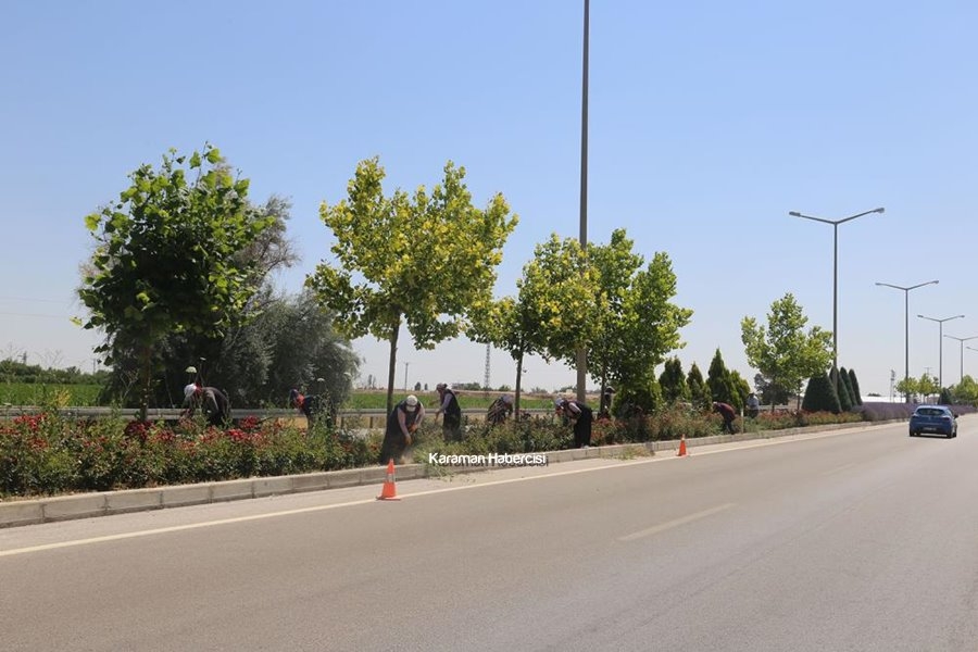 Karaman'da Park Bahçe Çalışmaları 5