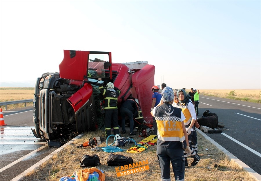 Aksaray'da büyükbaş hayvan yüklü tır devrildi 1