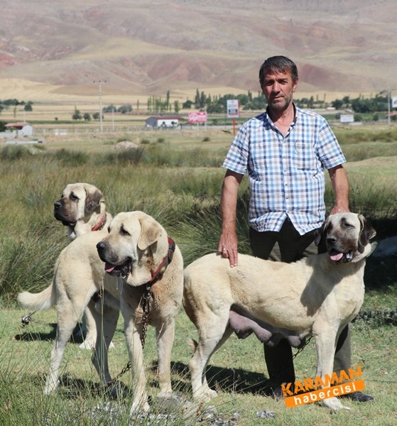 Aksaray Malaklısının Geçmişi 1