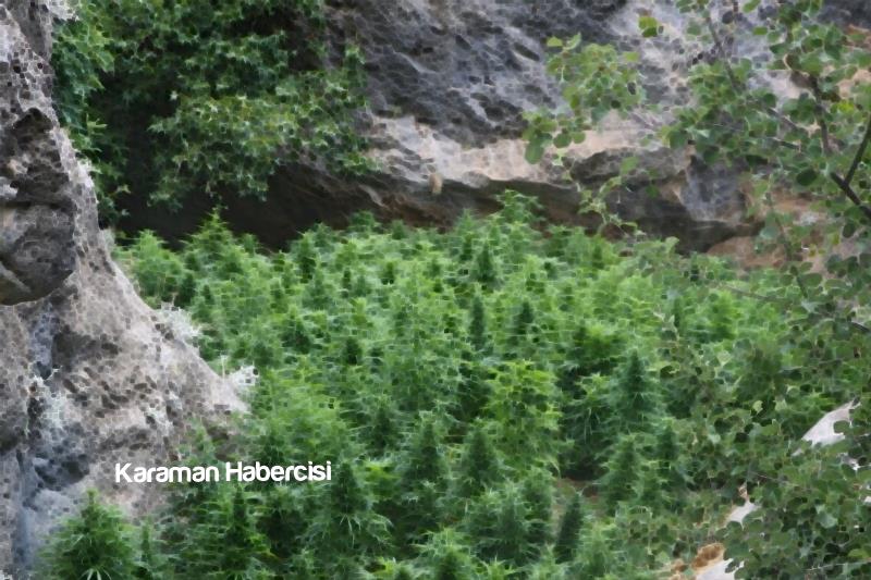 Karaman’da Jandarma Ekiplerinden Uyuşturucu Operasyonu 1