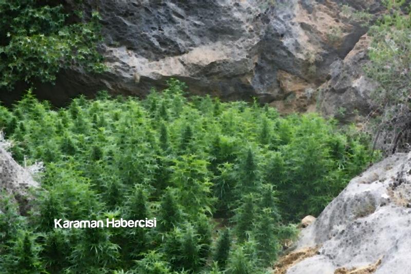 Karaman’da Jandarma Ekiplerinden Uyuşturucu Operasyonu 3