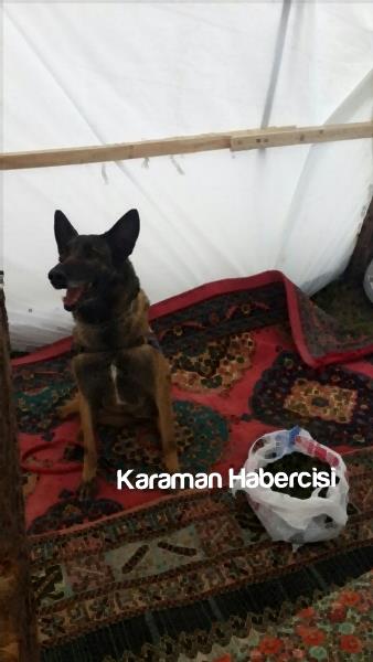 Karaman’da Jandarma Ekiplerinden Uyuşturucu Operasyonu 8