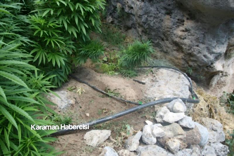 Karaman’da Jandarma Ekiplerinden Uyuşturucu Operasyonu 9