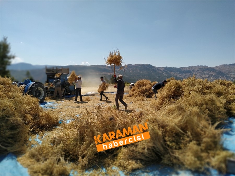 Hasattan Elde Edilecek Gelir Öğrenciye Gidecek 8