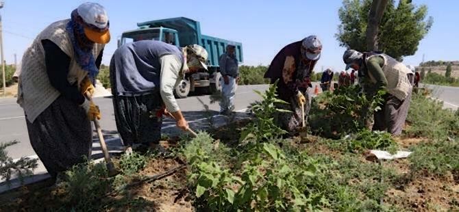 Belediye Çalışıyor Karaman Güzelleşiyor 1