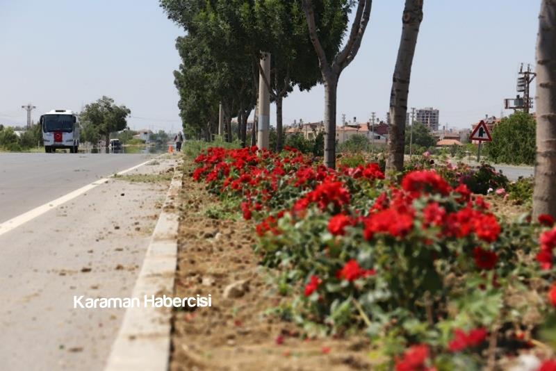 Belediye Çalışıyor Karaman Güzelleşiyor 2