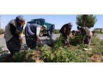 Belediye Çalışıyor Karaman Güzelleşiyor