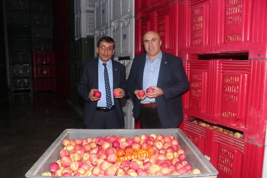 Karaman'ın Elması Soğuk Hava Depolarında 1