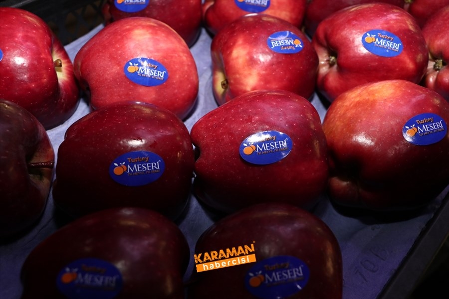 Karaman'ın Elması Soğuk Hava Depolarında 10