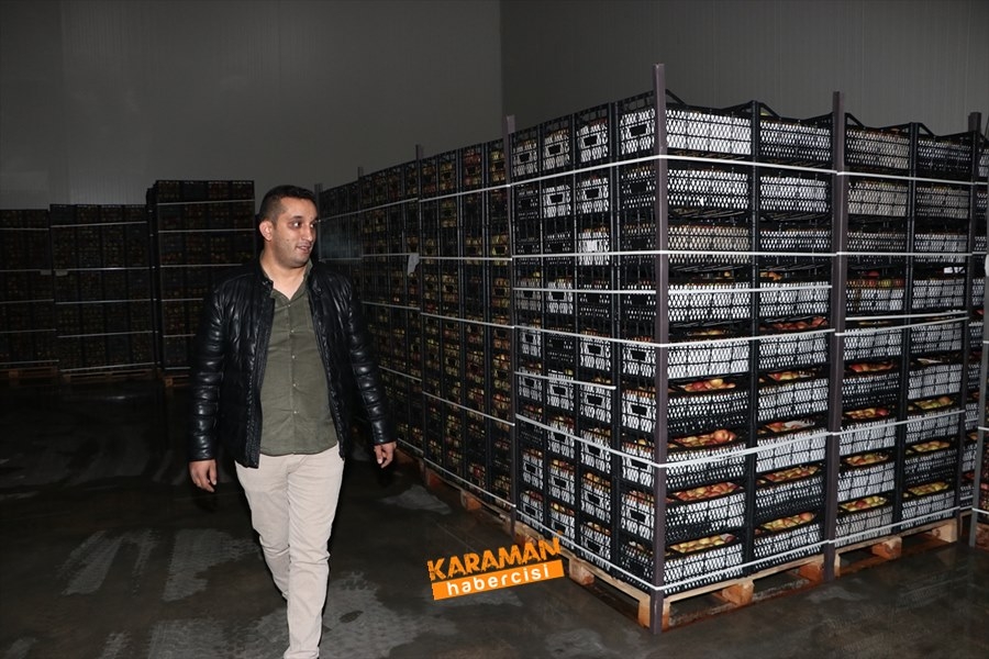 Karaman'ın Elması Soğuk Hava Depolarında 13