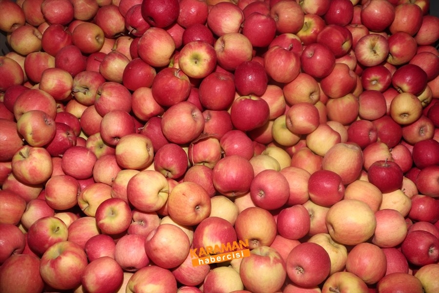 Karaman'ın Elması Soğuk Hava Depolarında 2