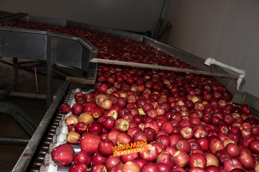 Karaman'ın Elması Soğuk Hava Depolarında 5