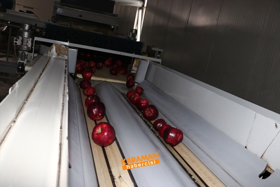 Karaman'ın Elması Soğuk Hava Depolarında 6