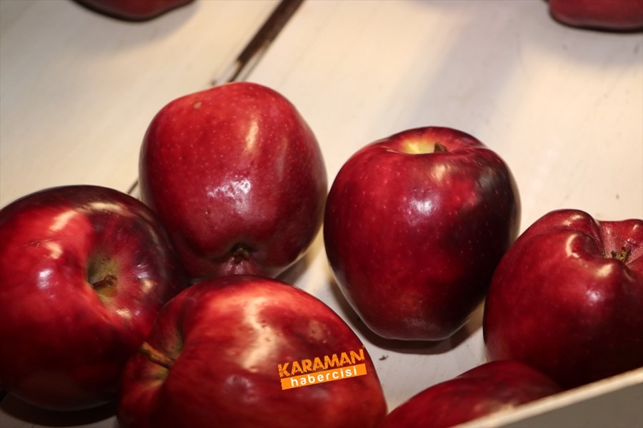 Karaman'ın Elması Soğuk Hava Depolarında 9