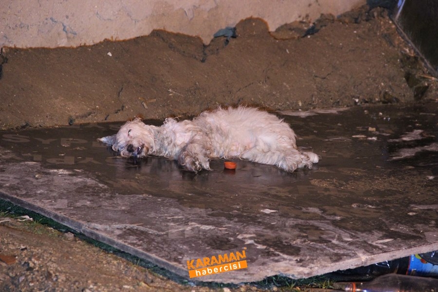 Karaman'da Ev Yangını 9