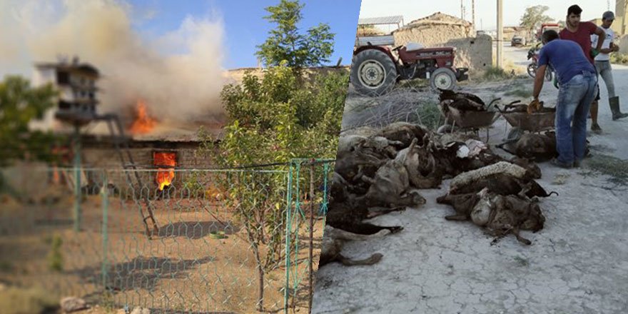 Karaman'da Ahır Yangını