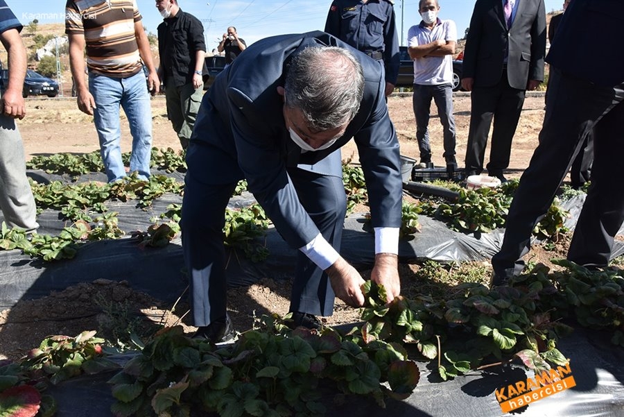 Narlıdere, Çukurbağ, Çatak ve Dağkonak köyleri 8