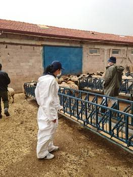 Köyümde Yaşamak İçin Bir Sürü Nedenim Var Projesi 7