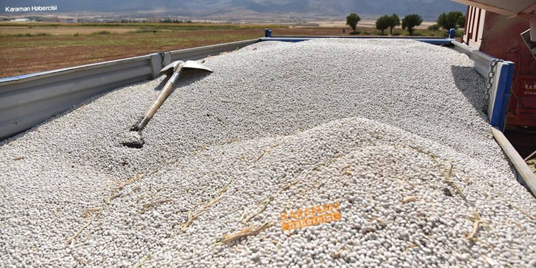 Karaman'da Hasat Zamanı 13