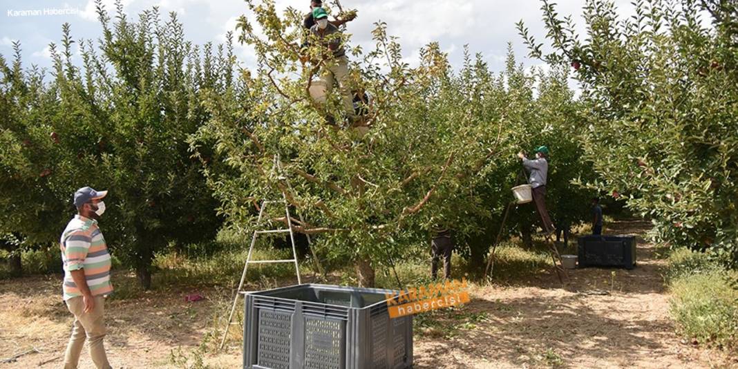 Karaman'da Hasat Zamanı 15