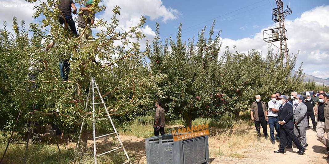 Karaman'da Hasat Zamanı 16