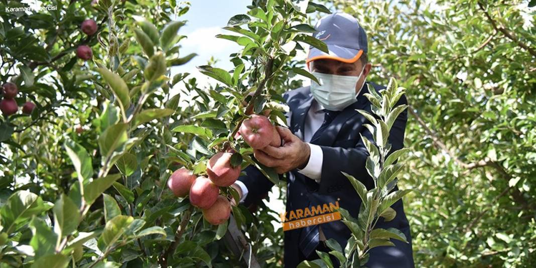 Karaman'da Hasat Zamanı 19