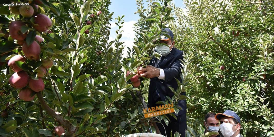 Karaman'da Hasat Zamanı 20