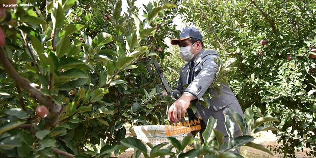 Karaman'da Hasat Zamanı 21