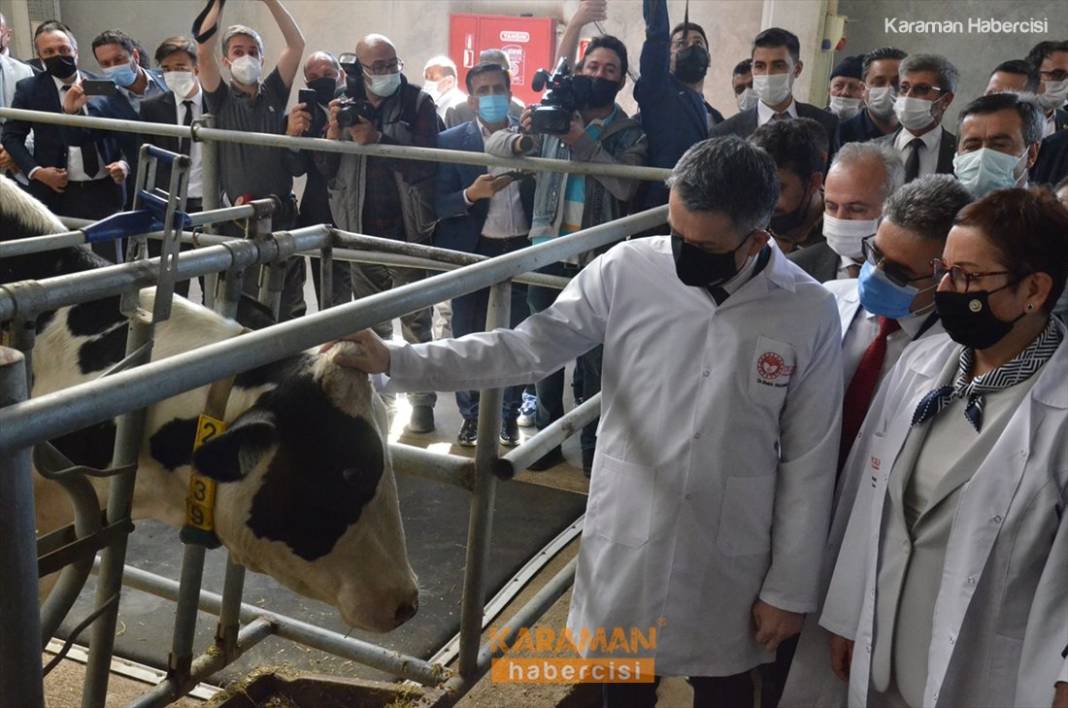 Bakan Pakdemirli Karaman'daki Çalışmaları Örnek Gösterdi 5