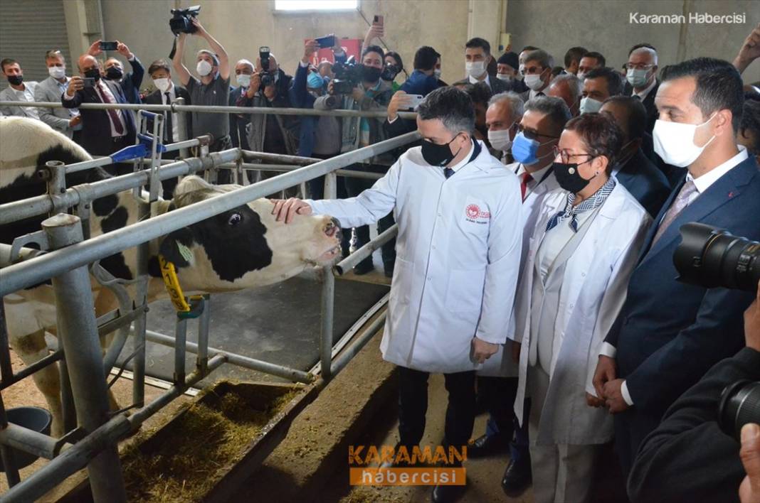 Bakan Pakdemirli Karaman'daki Çalışmaları Örnek Gösterdi 6