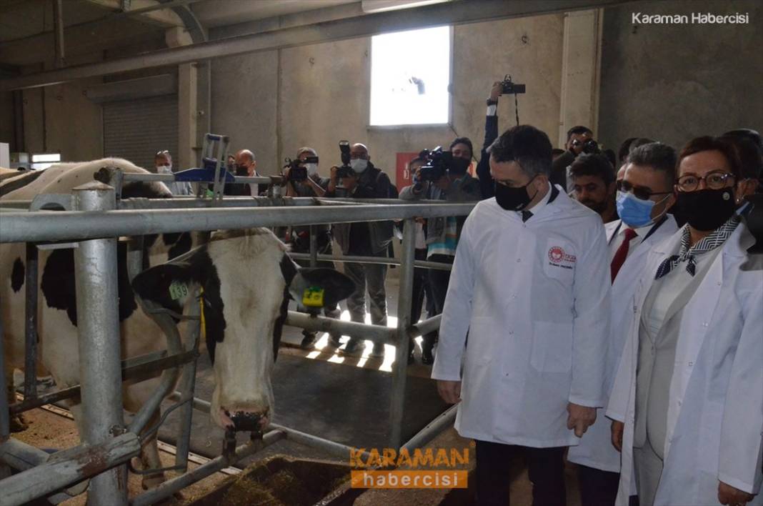 Bakan Pakdemirli Karaman'daki Çalışmaları Örnek Gösterdi 7