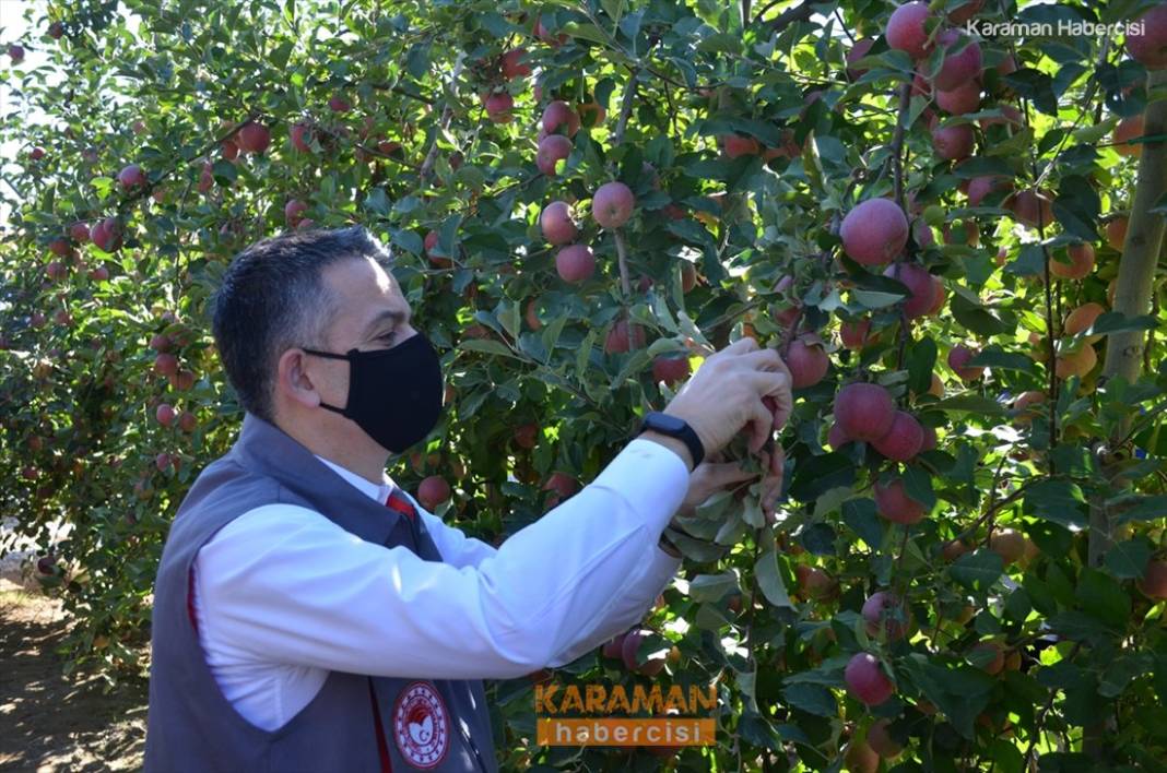 Bakan Pakdemirli Karaman'da Sektör Temsilcileri İle Buluştu 5