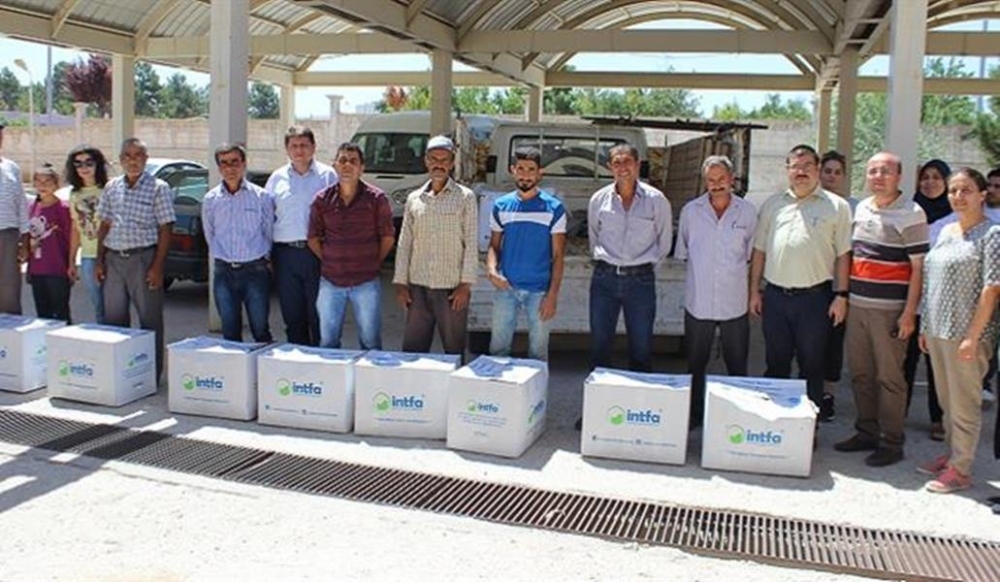 Karaman'da Çiftçilere Çilek Dağıtımı Yapıldı 1