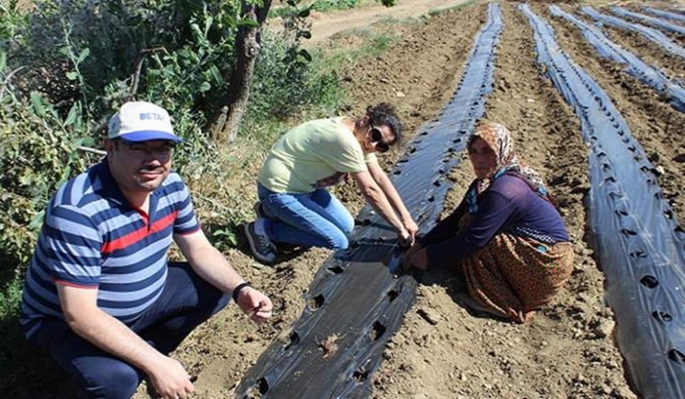 Karaman'da Çiftçilere Çilek Dağıtımı Yapıldı 2