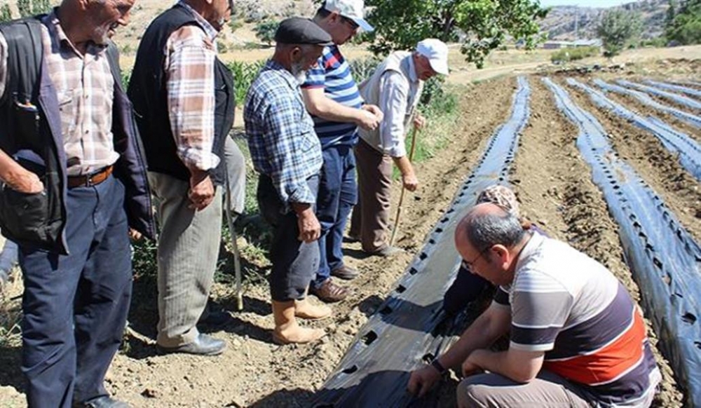 Karaman'da Çiftçilere Çilek Dağıtımı Yapıldı 4