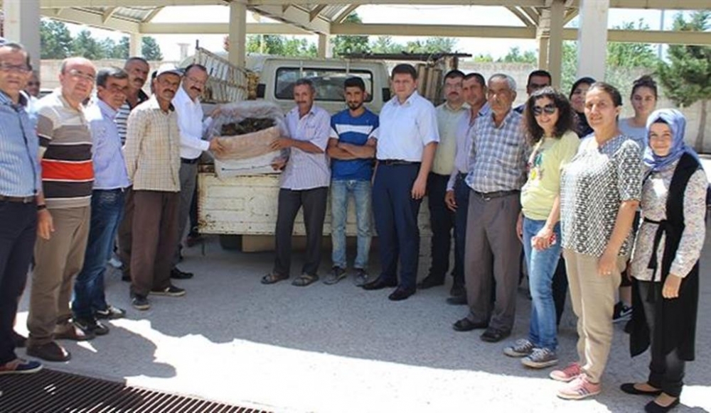 Karaman'da Çiftçilere Çilek Dağıtımı Yapıldı 5