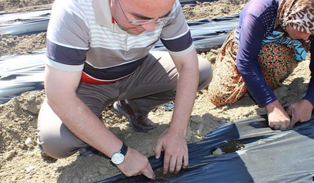 Karaman'da Çiftçilere Çilek Dağıtımı Yapıldı 6