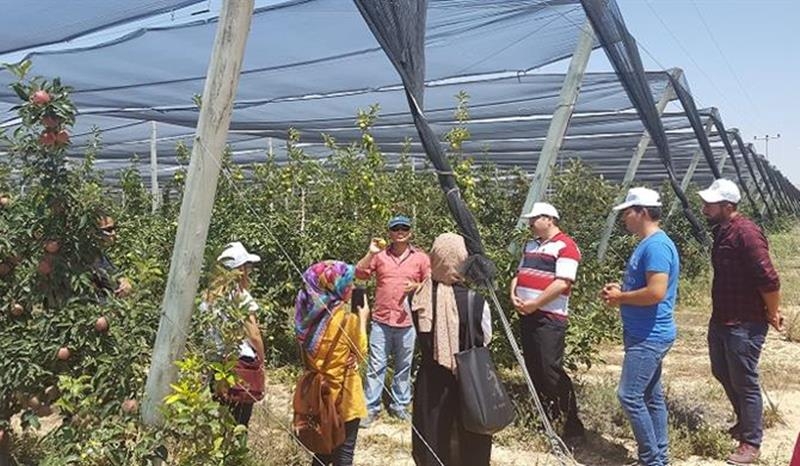 Stajyer Öğrencilere Elma Bahçesinde Eğitim 1
