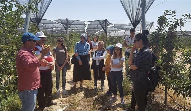 Stajyer Öğrencilere Elma Bahçesinde Eğitim 6