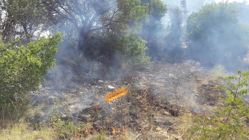 Karaman Bayır Köyü’nde Orman Yangını 2
