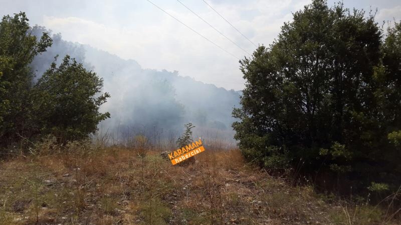Karaman Bayır Köyü’nde Orman Yangını 4