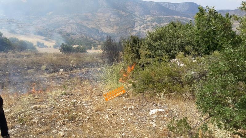 Karaman Bayır Köyü’nde Orman Yangını 5