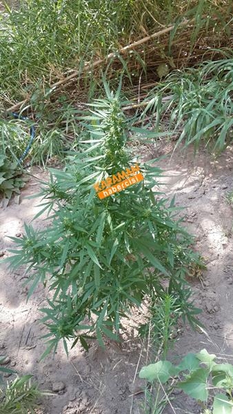 Jandarmadan Geçit Yok 1