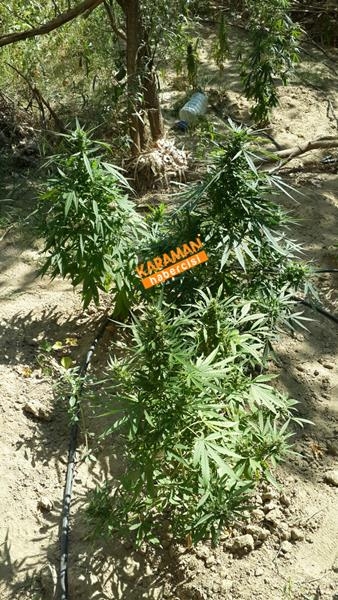 Jandarmadan Geçit Yok 2