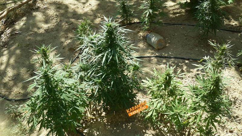 Jandarmadan Geçit Yok 4