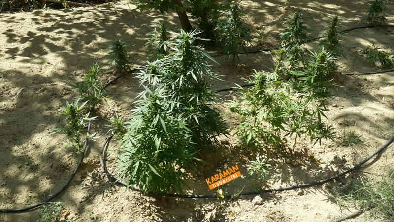 Jandarmadan Geçit Yok 5