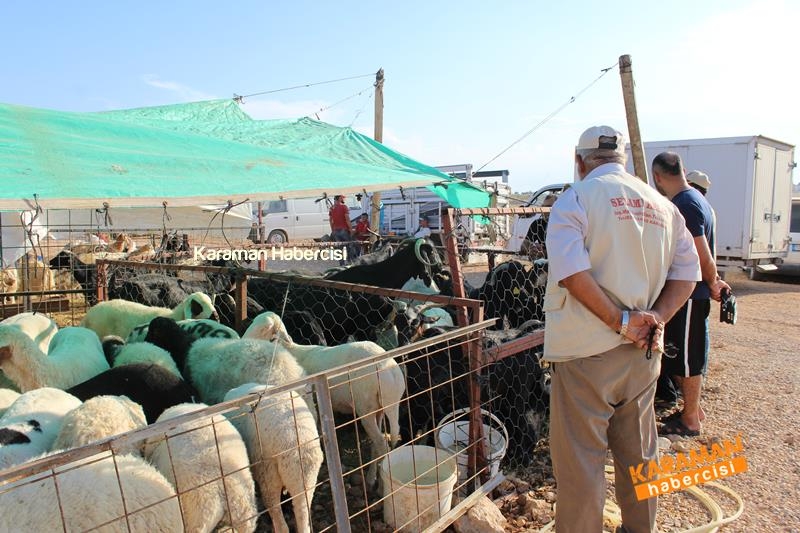 Karaman’da Kurban Pazarları Arefeye Kilitlendi 1
