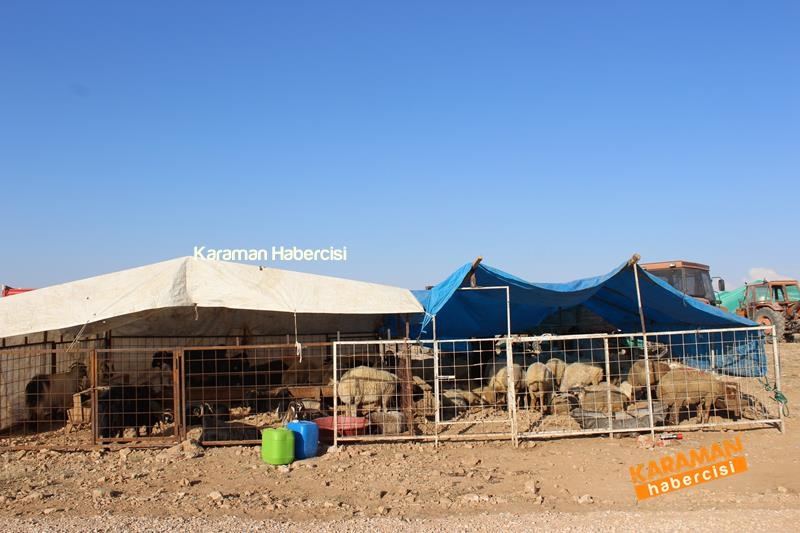 Karaman’da Kurban Pazarları Arefeye Kilitlendi 10