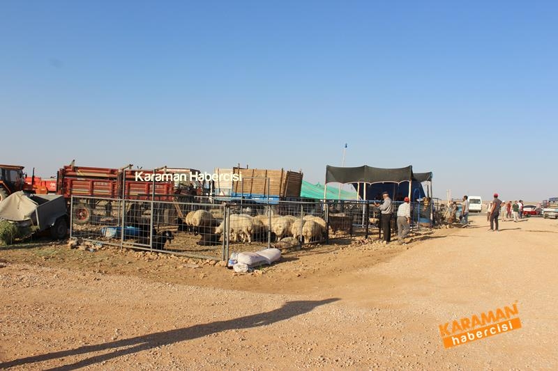 Karaman’da Kurban Pazarları Arefeye Kilitlendi 13