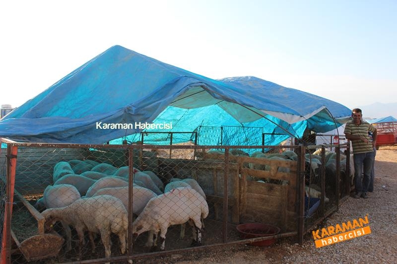 Karaman’da Kurban Pazarları Arefeye Kilitlendi 14